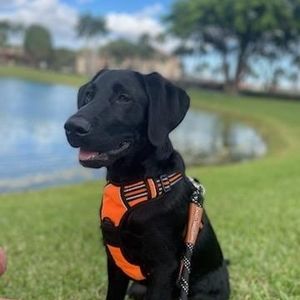 Meet your Posher, Marta